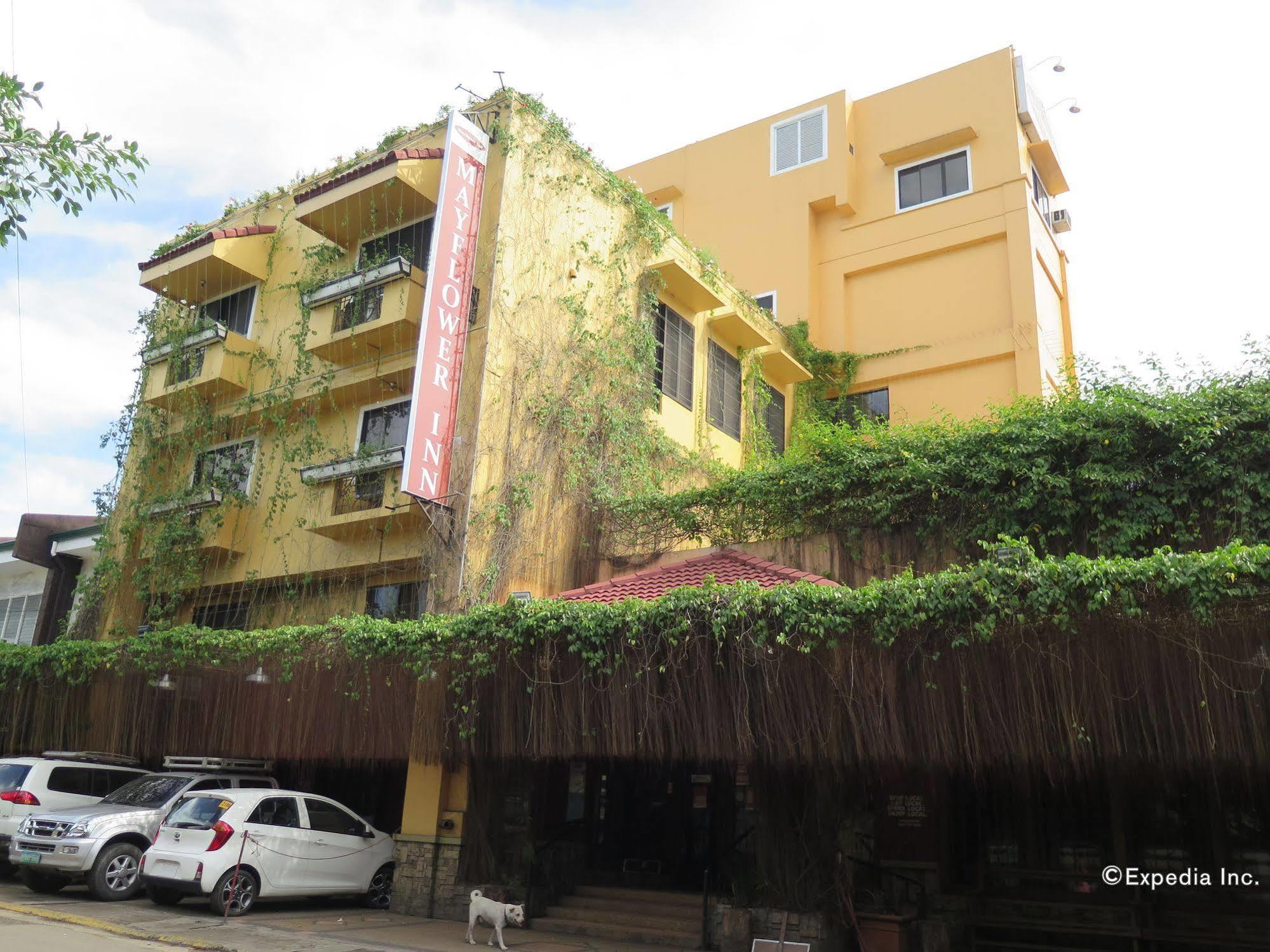 The Mayflower Inn Cebu Zewnętrze zdjęcie