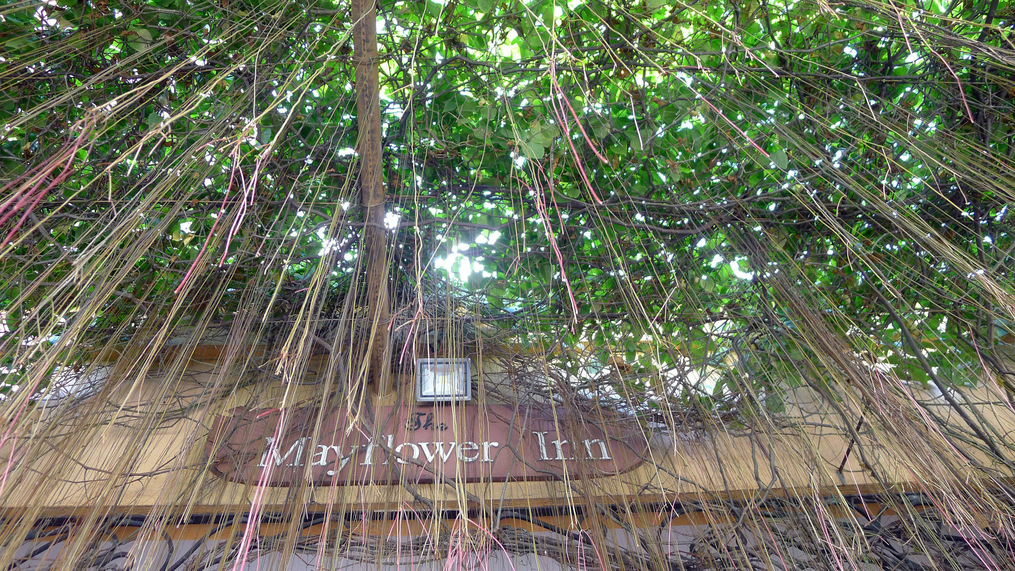 The Mayflower Inn Cebu Zewnętrze zdjęcie